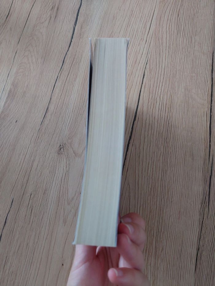 Le trône de cristal tome 1 - photo numéro 4