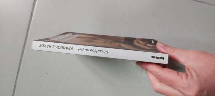 Un cadeau du ciel - photo numéro 2