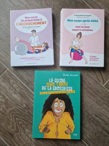 Lot livres grossesse de gasquet