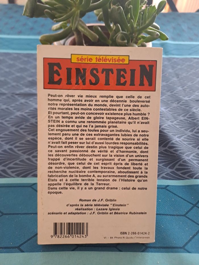 Livre Einstein, Jean François Griblin - photo numéro 2