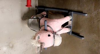 Cheval à bascule musical 15 euros