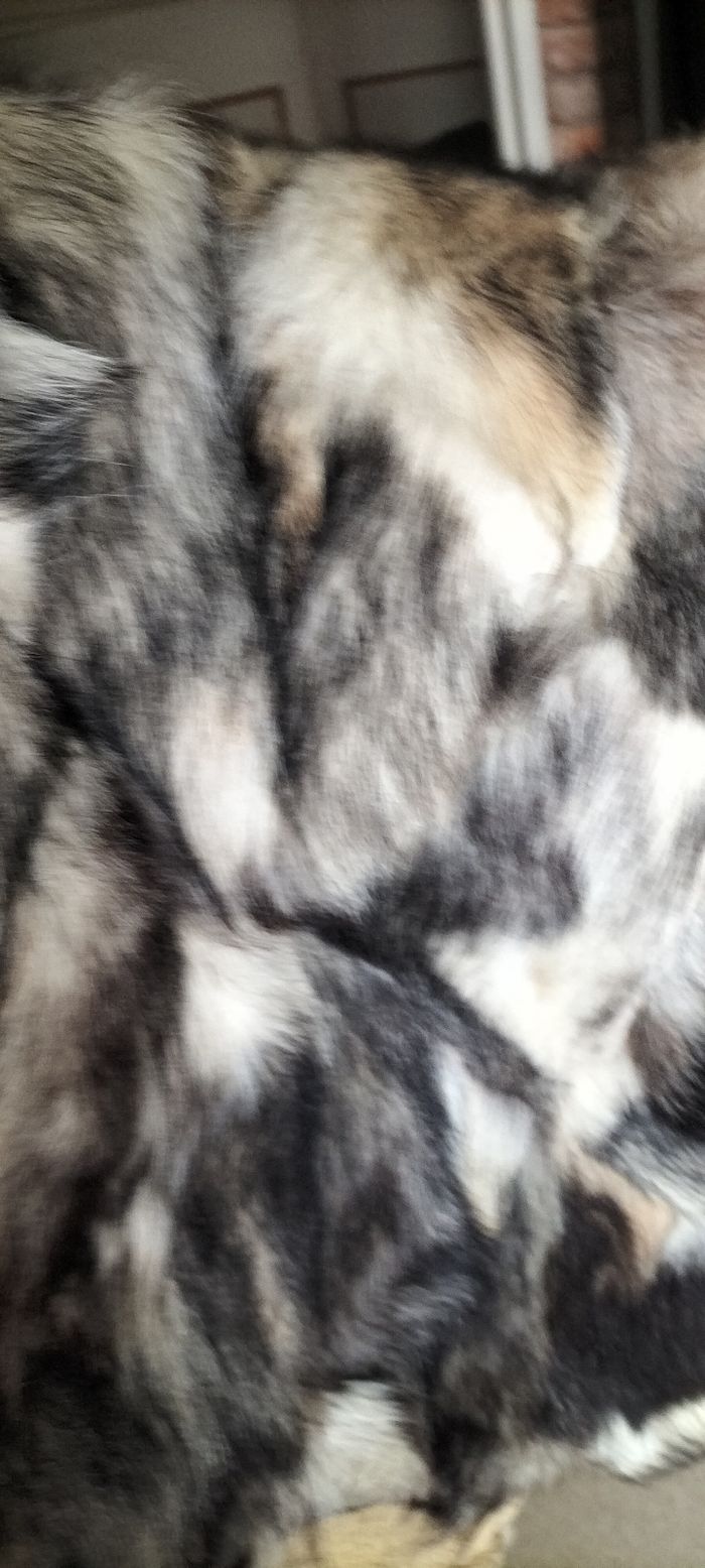 Tapis - photo numéro 2