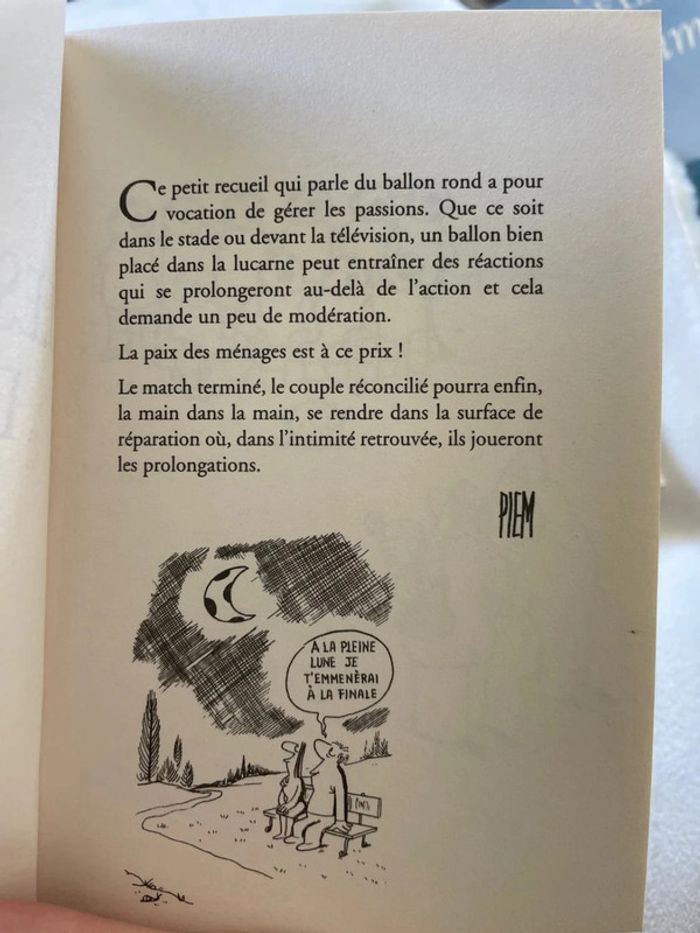 Les mordus du foot - photo numéro 3