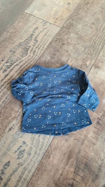 T-shirt pat et ripaton 1 mois en très bon état