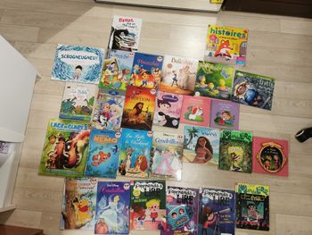 Lots de 26 livres 