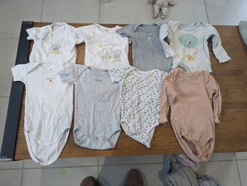 Lot 8 bodis 12 mois