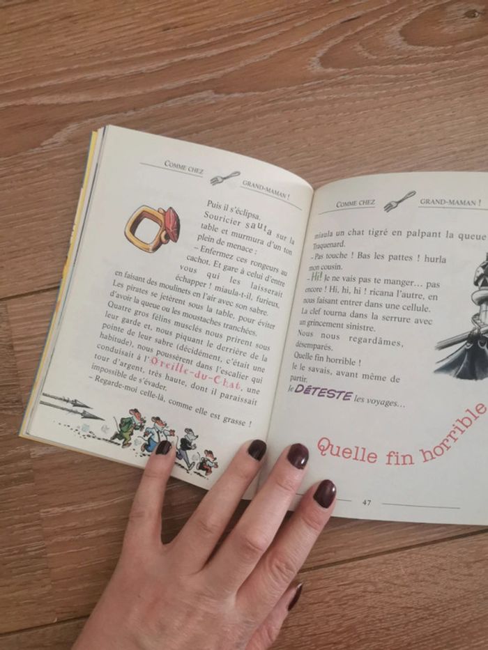 Livre geronimo stilton - photo numéro 3