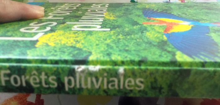 LES FORETS PLUVIALES Ed. Sélection du Reader's Digest - photo numéro 4