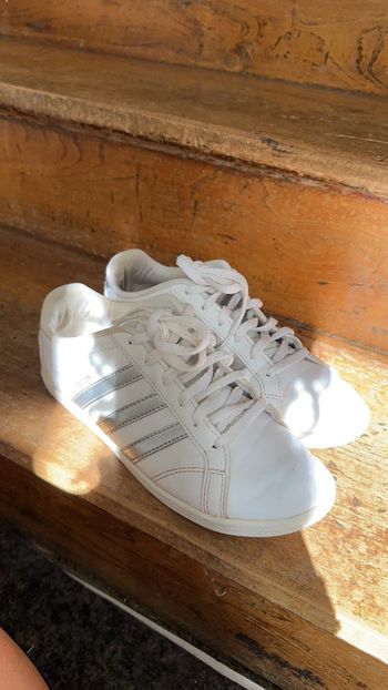 Basket Adidas