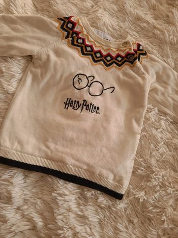 Pull Harry Potter