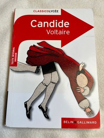 Candide de voltaire 