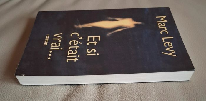 Roman et si c était vrai de Marc Lévy - photo numéro 5