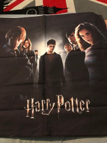 Taie d’oreiller Harry Potter 50x50