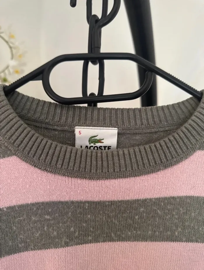 Pull Lacoste femme grande taille - photo numéro 3