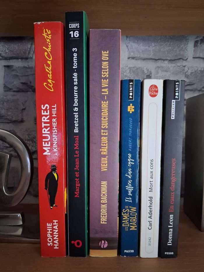 Lot 5 romans Cosy Mystery et policiers - photo numéro 3