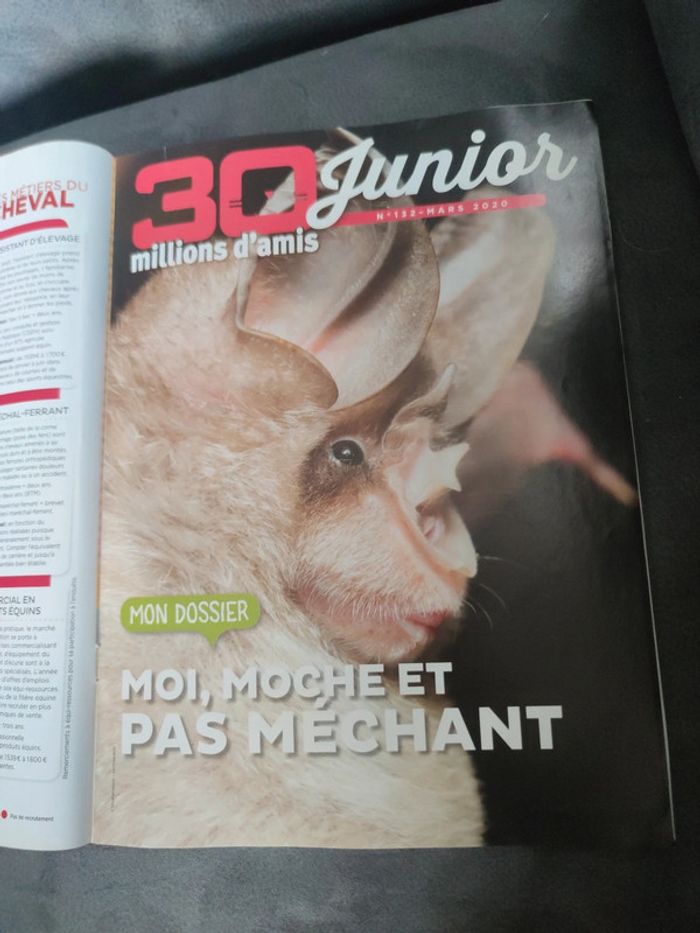 Magazine 30 millions d'amis numéro 382 mars 2020 - photo numéro 7
