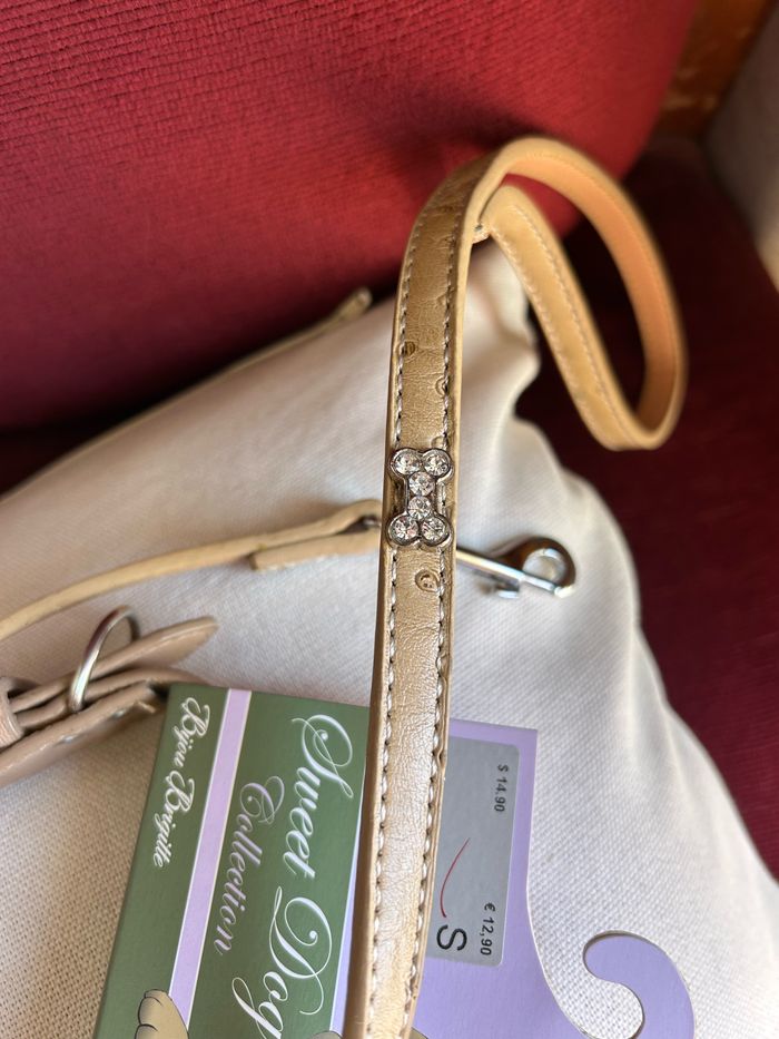 Ensemble accessoires chien - photo numéro 4