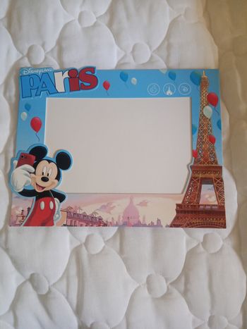 Cadré Disneyland Paris neuf 