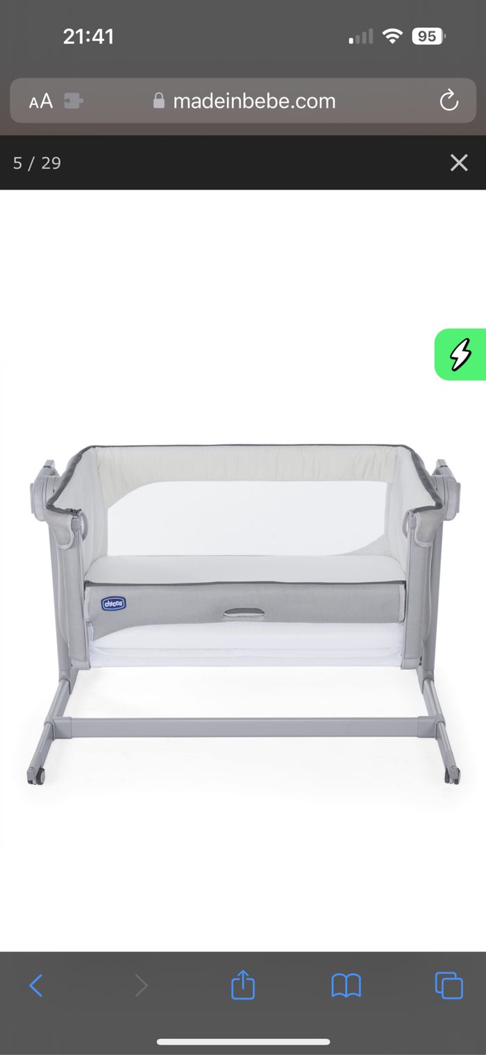 Cododo gris - photo numéro 3