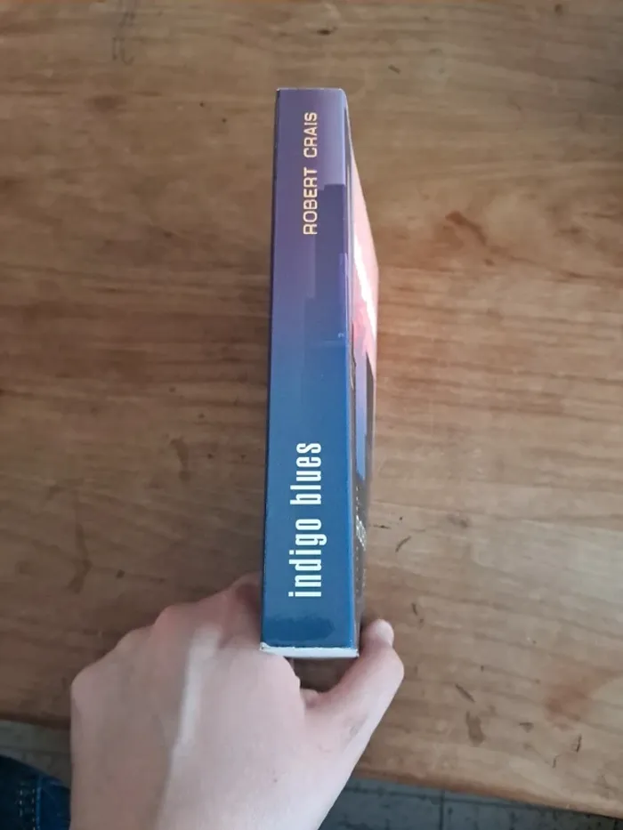 Livre thriller Indigo blues - photo numéro 2
