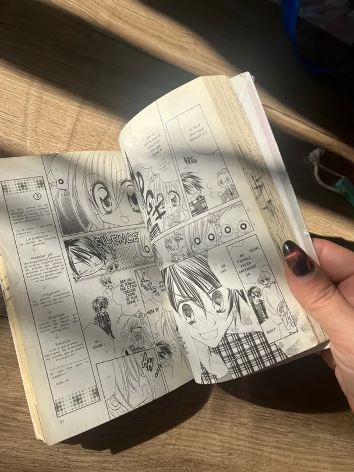 Manga kilari - photo numéro 2