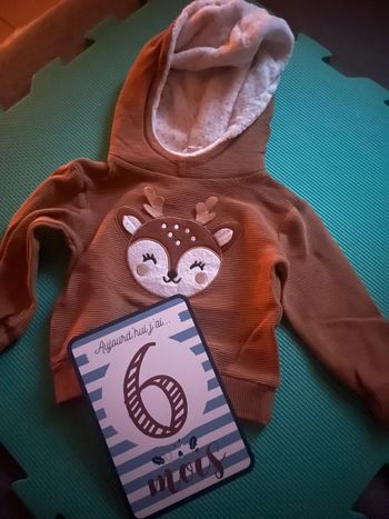 Pull renne 6M