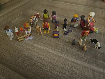 Lot de playmobil vrac