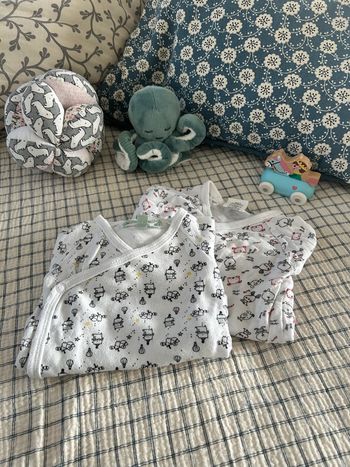 Lot de 2 bodys manches longues