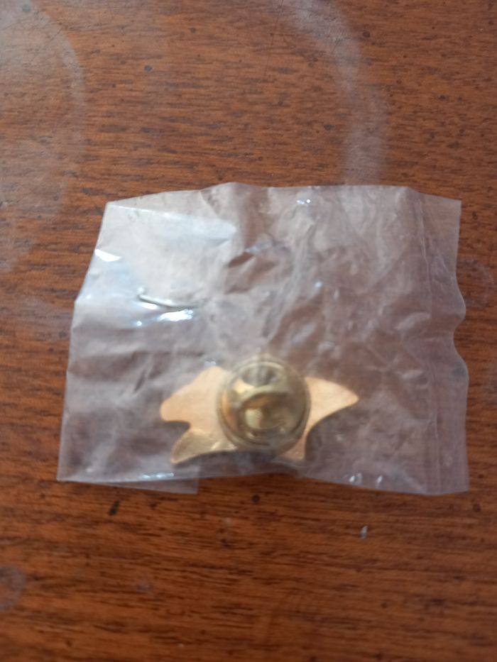 Pin's Yvan Beal - photo numéro 3