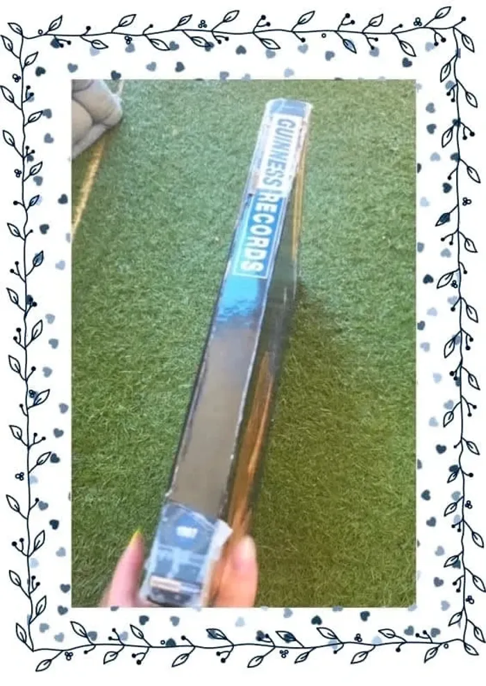 Livre guinness des records 1997 - photo numéro 3