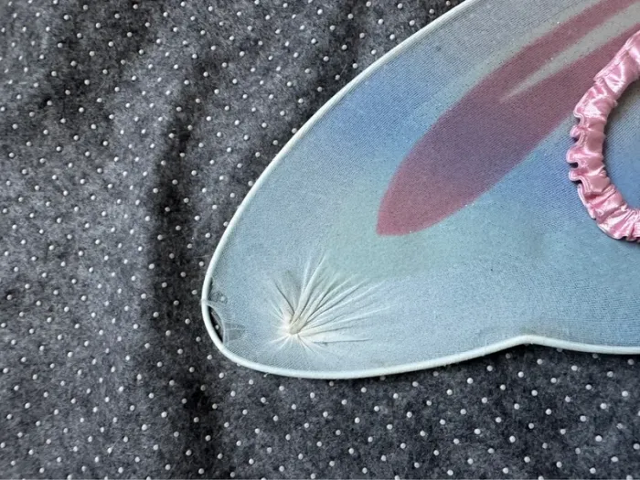 Déguisement ailes de papillon 🦋 - photo numéro 4