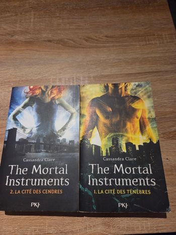 Lot tome 1 et 2 the mortal instrument