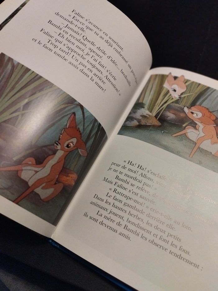 Livre Disney Bambi - photo numéro 6