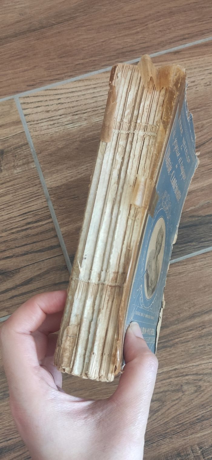 La vie joyeuse et tragique de Marie Antoinette - photo numéro 2