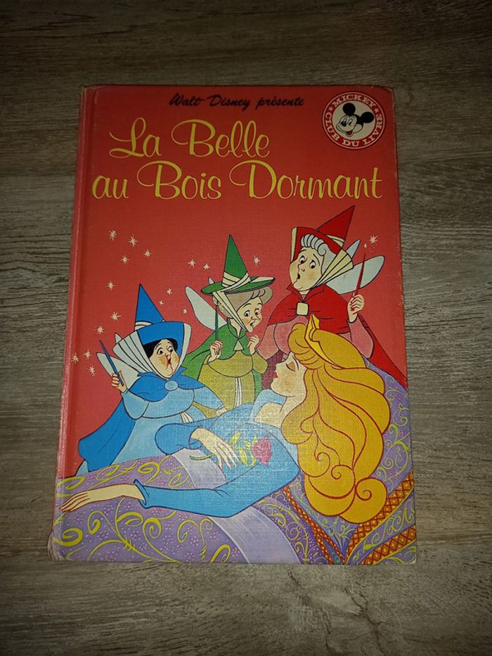 livre la belle au bois dormant de disney