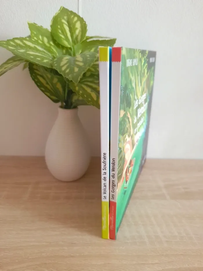 Lot livre enfant - photo numéro 3