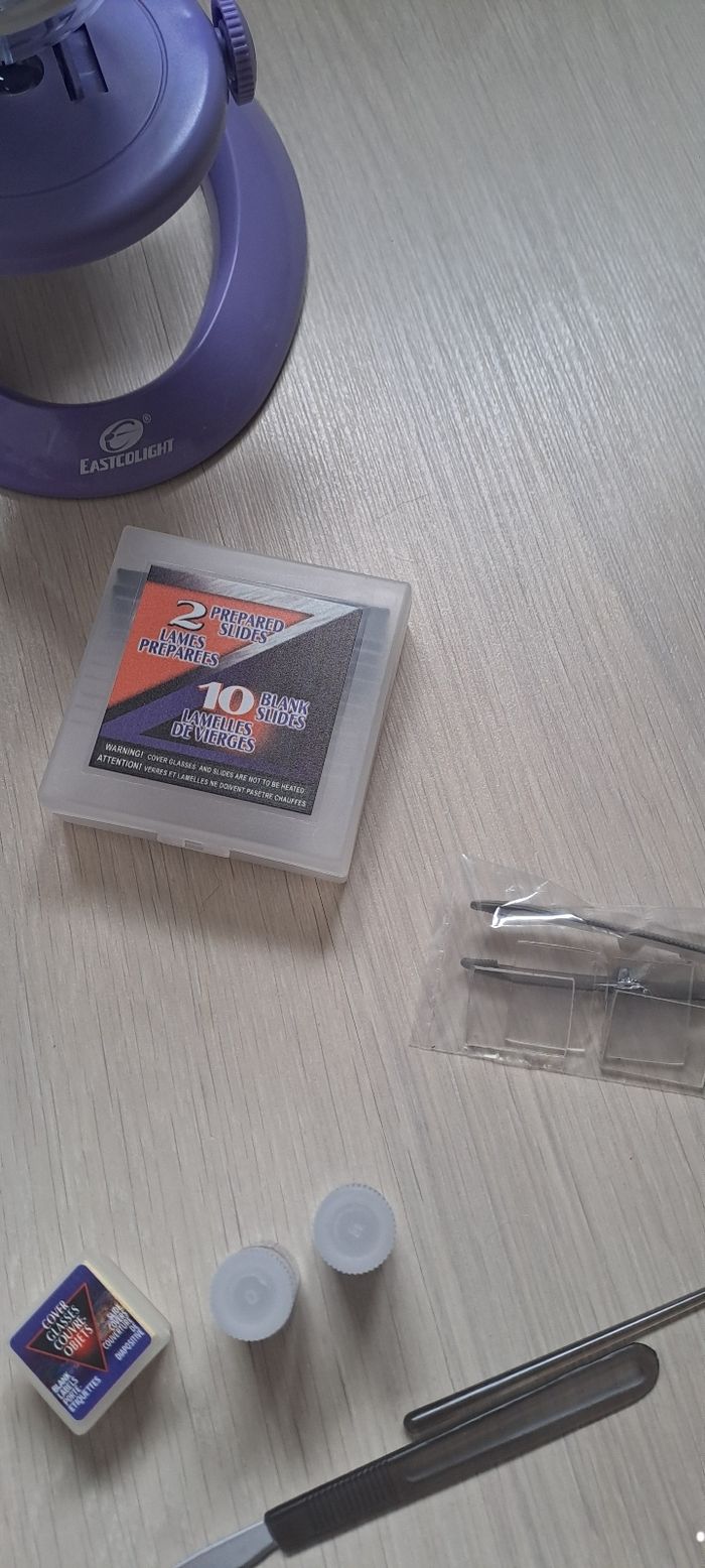 Microscope - photo numéro 3