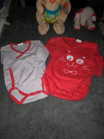 Lot de 2 bodys