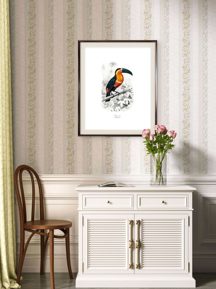 Affiche vintage Toucan Toco - photo numéro 4