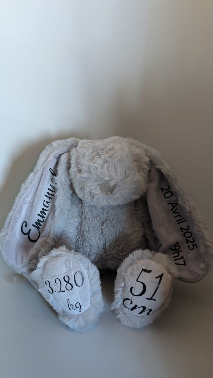 Lapin naissance - photo numéro 2