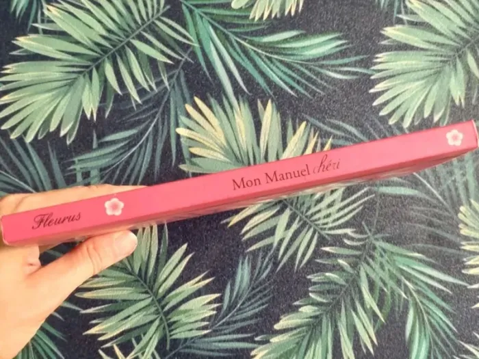 Livre fille Mon manuel chéri - photo numéro 2