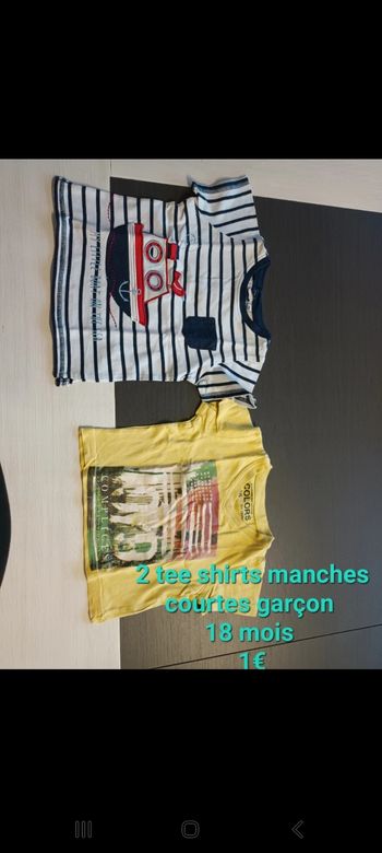 Lot 2 tee shirts manches courtes garçon 18mois