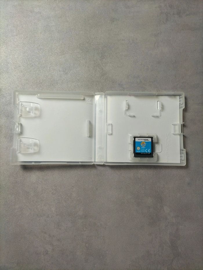 Jeu Nintendo DS – Zhu Zhu Pets - photo numéro 4