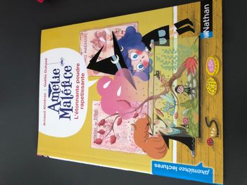 Livre Amélie Maléfice