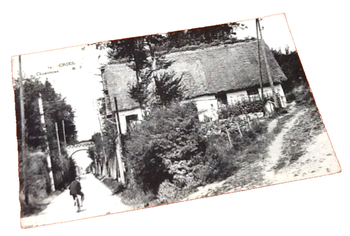 Carte postale ancienne Criel-sur-Mer (Seine-Maritime) Chantreine