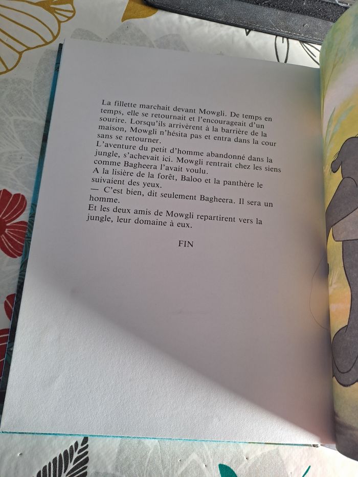 Le livre de la jungle - photo numéro 9
