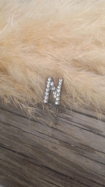 Broche pic vintage initiale N