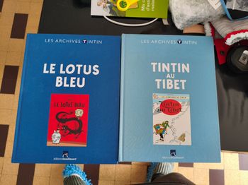 Collection Livre Tintin