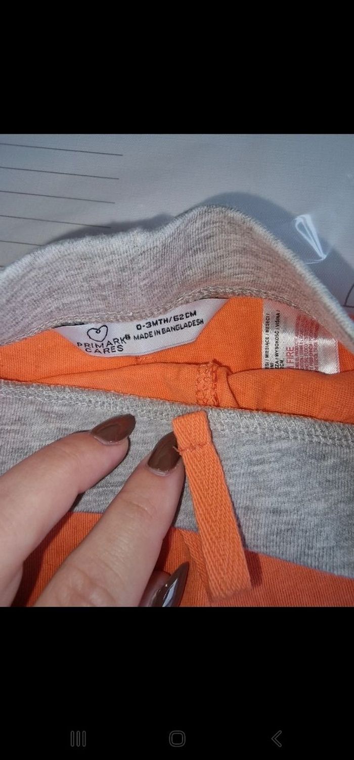 Short orange. - photo numéro 2