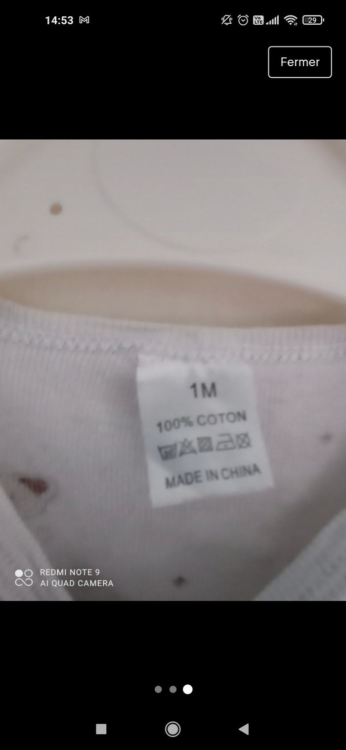 Bodie 1 mois - photo numéro 3